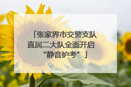 张家界市交警支队直属二大队全面开启“静音护考”