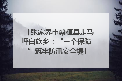 张家界市桑植县走马坪白族乡：“三个保障”筑牢防汛安全堤