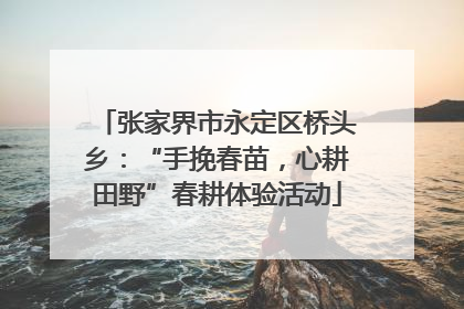 张家界市永定区桥头乡：“手挽春苗，心耕田野”春耕体验活动