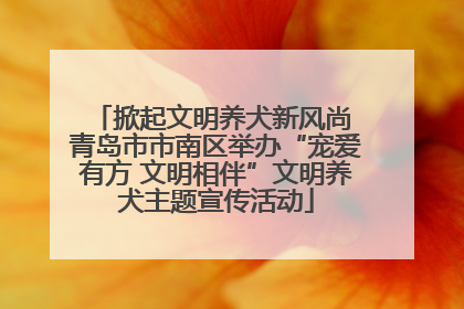 掀起文明养犬新风尚 青岛市市南区举办“宠爱有方 文明相伴”文明养犬主题宣传活动