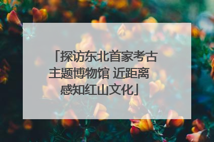 探访东北首家考古主题博物馆 近距离感知红山文化