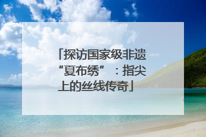 探访国家级非遗“夏布绣”：指尖上的丝线传奇