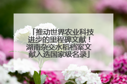 推动世界农业科技进步的里程碑文献！湖南杂交水稻档案文献入选国家级名录