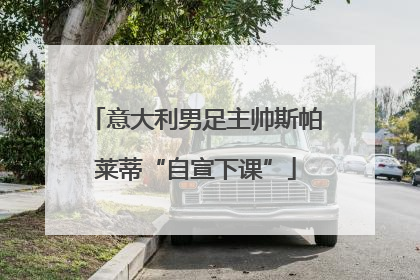 意大利男足主帅斯帕莱蒂“自宣下课”