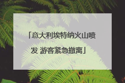 意大利埃特纳火山喷发 游客紧急撤离