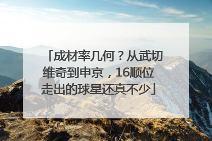 成材率几何？从武切维奇到申京，16顺位走出的球星还真不少