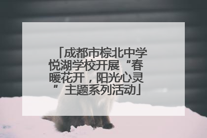 成都市棕北中学悦湖学校开展“春暖花开，阳光心灵”主题系列活动