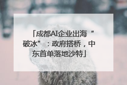 成都AI企业出海“破冰”：政府搭桥，中东首单落地沙特