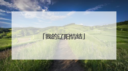 我的辽阳情结