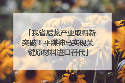 我省尼龙产业取得新突破！平煤神马实现关键原材料进口替代