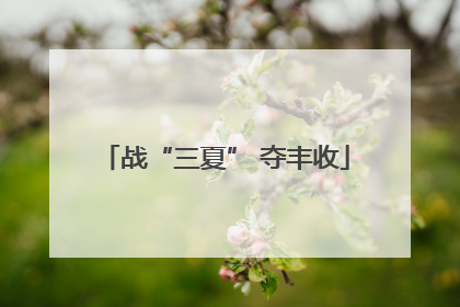 战“三夏” 夺丰收