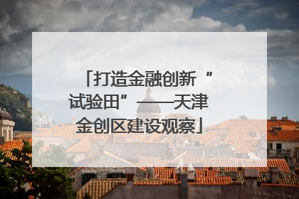 打造金融创新“试验田”——天津金创区建设观察