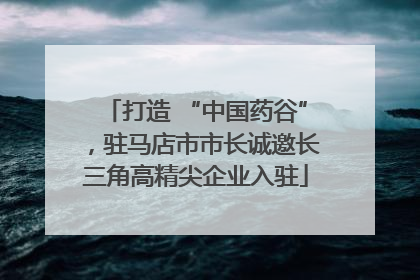 打造 “中国药谷”，驻马店市市长诚邀长三角高精尖企业入驻