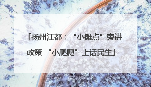 扬州江都：“小摊点”旁讲政策 “小爬爬”上话民生