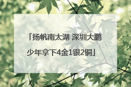 扬帆南太湖 深圳大鹏少年拿下4金1银2铜