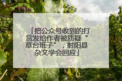 把公众号收到的打赏发给作者被质疑“草台班子”，射阳县杂文学会回应