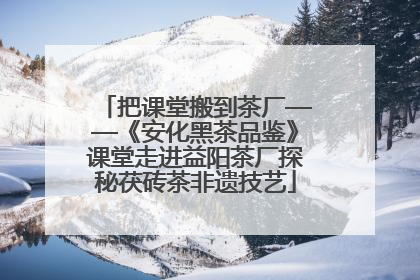 把课堂搬到茶厂——《安化黑茶品鉴》课堂走进益阳茶厂探秘茯砖茶非遗技艺