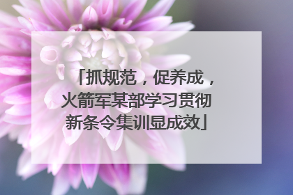 抓规范，促养成，火箭军某部学习贯彻新条令集训显成效
