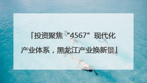 投资聚焦“4567”现代化产业体系，黑龙江产业换新景