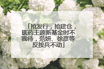 抢发行，抢建仓，医药主题新基金时不我待，范妍、徐彦等反按兵不动