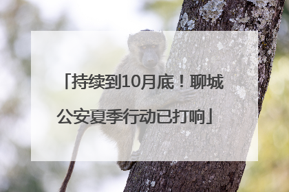 持续到10月底！聊城公安夏季行动已打响