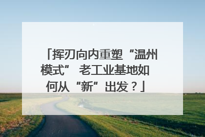 挥刃向内重塑“温州模式” 老工业基地如何从“新”出发？