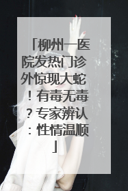 柳州一医院发热门诊外惊现大蛇！有毒无毒？专家辨认：性情温顺