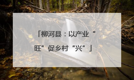 柳河县：以产业“旺”促乡村“兴”