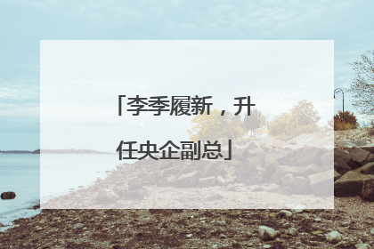 李季履新，升任央企副总