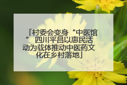 村委会变身“中医馆” 四川平昌以惠民活动为载体推动中医药文化在乡村落地