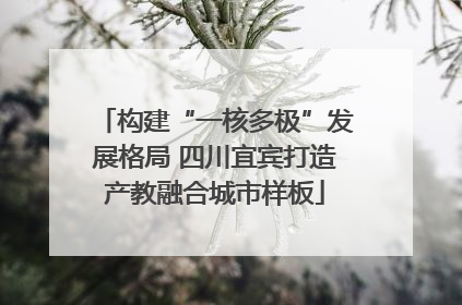 构建“一核多极”发展格局 四川宜宾打造产教融合城市样板