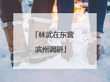 林武在东营滨州调研