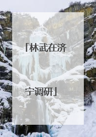 林武在济宁调研