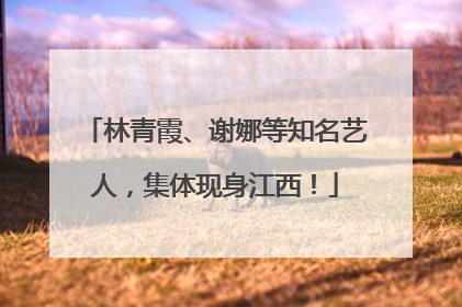 林青霞、谢娜等知名艺人，集体现身江西！