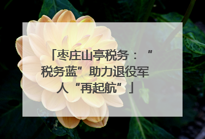 枣庄山亭税务：“税务蓝”助力退役军人“再起航”