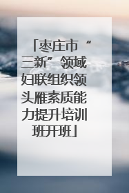 枣庄市“三新”领域妇联组织领头雁素质能力提升培训班开班