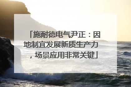 施耐德电气尹正：因地制宜发展新质生产力，场景应用非常关键