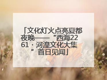 文化灯火点亮夏都夜晚——“西海2261・河湟文化大集”首日见闻