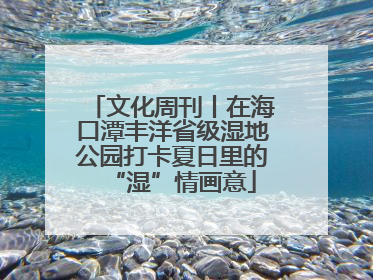 文化周刊丨在海口潭丰洋省级湿地公园打卡夏日里的“湿”情画意
