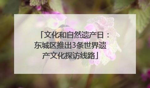 文化和自然遗产日：东城区推出3条世界遗产文化探访线路