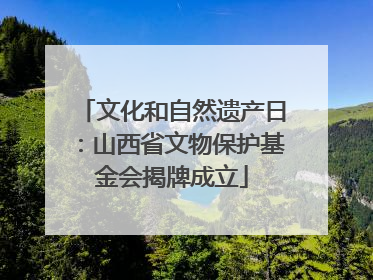 文化和自然遗产日：山西省文物保护基金会揭牌成立