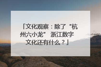 文化观察：除了“杭州六小龙” 浙江数字文化还有什么？