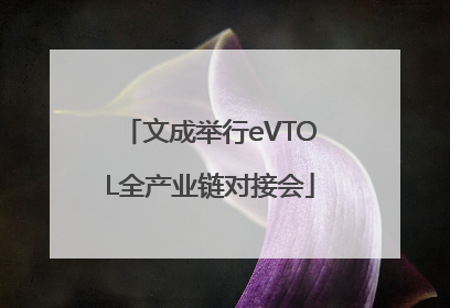 文成举行eVTOL全产业链对接会