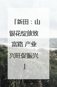 新田：山银花绽放致富路 产业兴旺促振兴