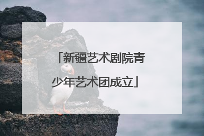 新疆艺术剧院青少年艺术团成立
