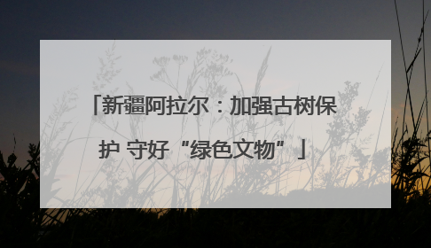 新疆阿拉尔：加强古树保护 守好“绿色文物”