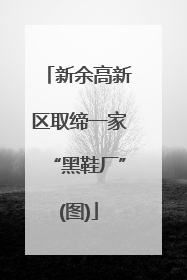新余高新区取缔一家“黑鞋厂”(图)