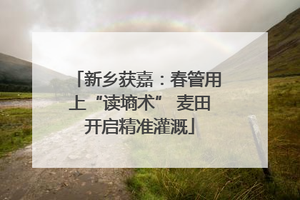 新乡获嘉：春管用上“读墒术” 麦田开启精准灌溉