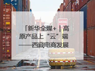 新华全媒+｜高原产品上“云”端——西藏电商发展一线观察