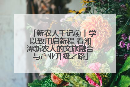 新农人手记④丨学以致用启新程 看湘潭新农人的文旅融合与产业升级之路